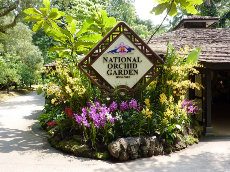 Conocemos el mundo a través de las orquídeas