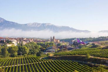 La Rioja, un pequeño gran destino de vino y mucho más