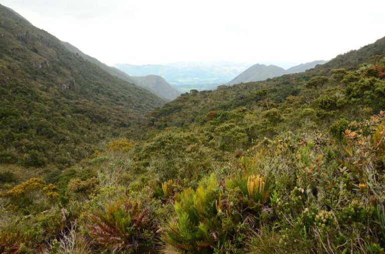 El encanto del Santuario de Iguaque en Colombia