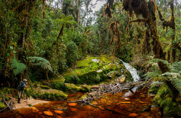 La Cueva de los Guácharos, un lugar enigmático