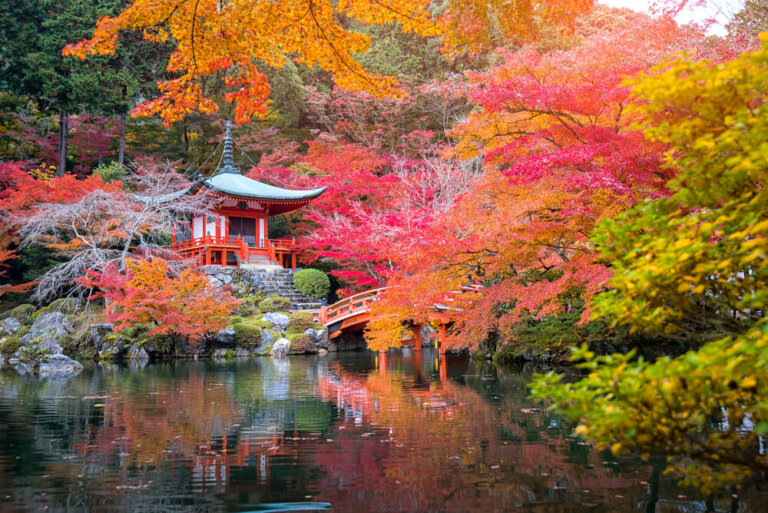 Disfrutando del 'momiji', el paisaje de otoño japonés