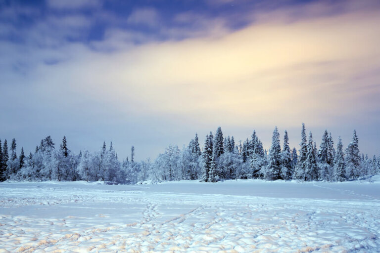 Actividades de invierno en la Laponia sueca