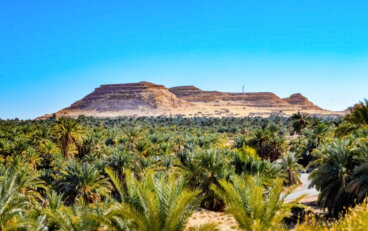 Siwa en el desierto de Egipto