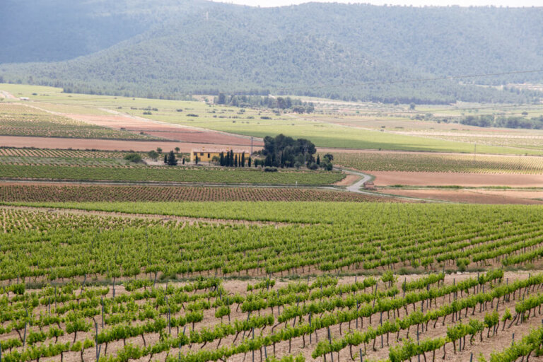 Terres dels Alforins, la Toscana valenciana