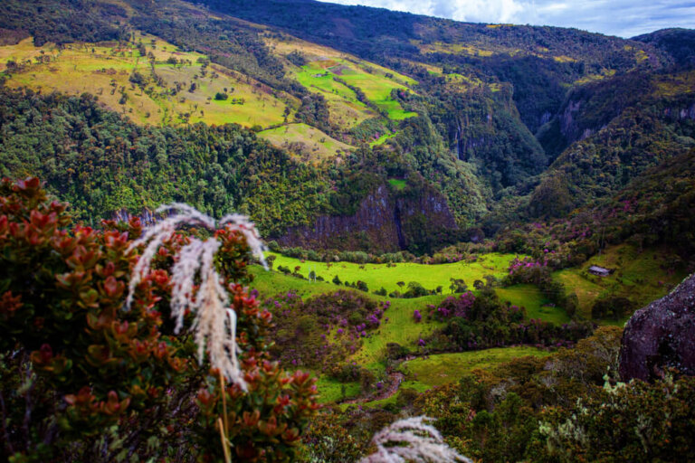 El Parque Nacional Puracé, un sitio de altura