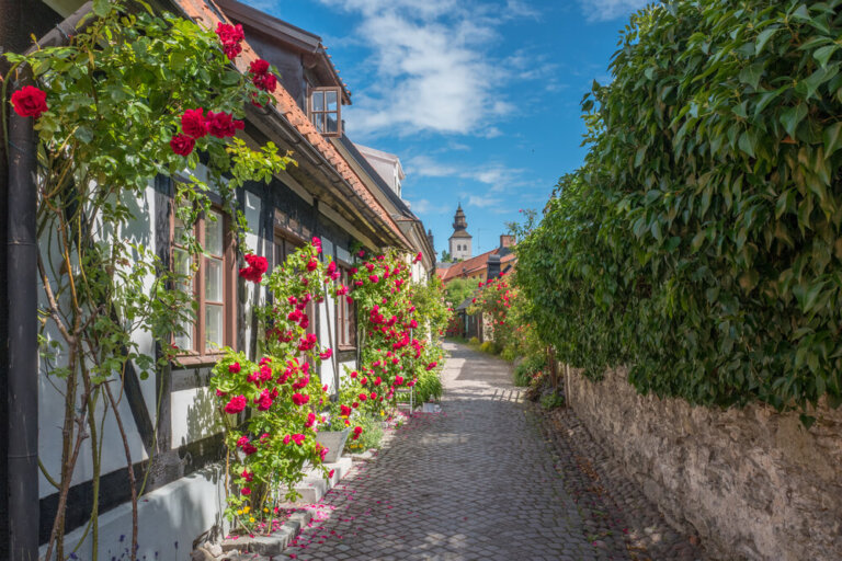 Descubre la ciudad amurallada de Visby