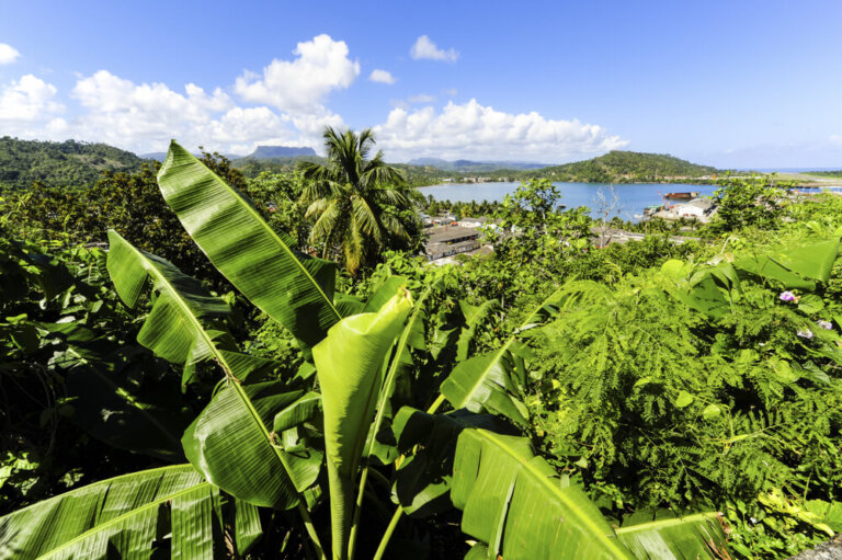 Guantánamo, un lugar extraordinario