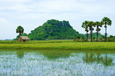 Un recorrido por el delta del río Mekong
