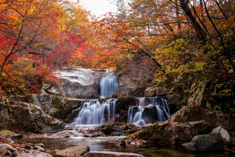 Descubre los tesoros de Gangwon-do en Corea
