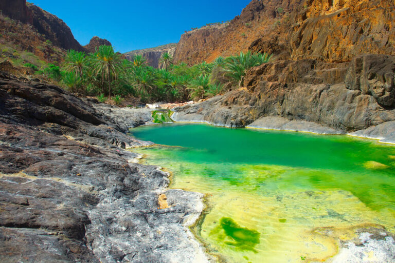 El archipiélago de Socotra y sus paisajes únicos