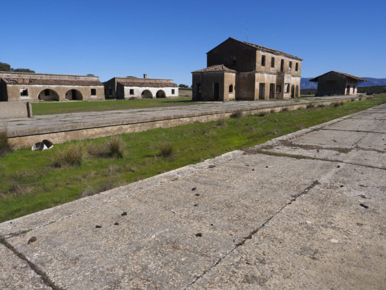 La Vía Verde de la Jara: deporte, aromas y naturaleza