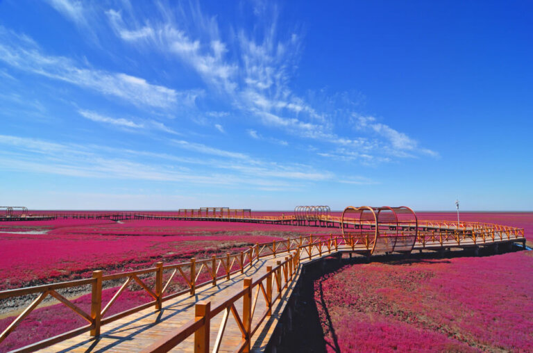 La ciudad de Panjin y espectacular Playa Roja