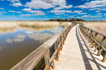 Las Tablas de Daimiel: visitamos el corazón de La Mancha