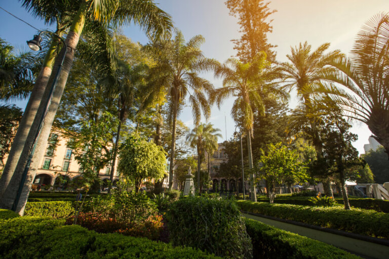 Xalapa: una ciudad en el corazón de Veracruz