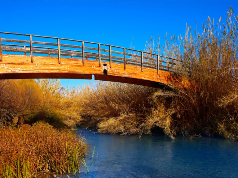 El río Guadalaviar, una ruta fluvial sorprendente