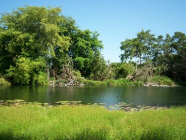 Ich Ha Lol Xaan: un hermoso paraíso en Yucatán