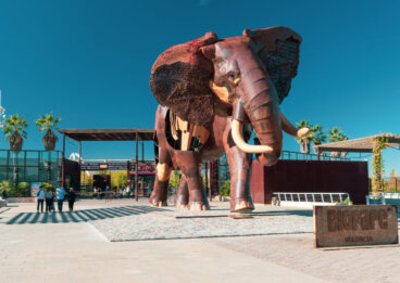 Descubre el Bioparc de Valencia