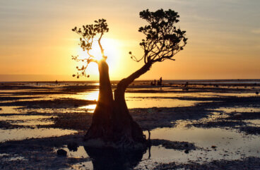 Walakiri Beach: una hermosa playa