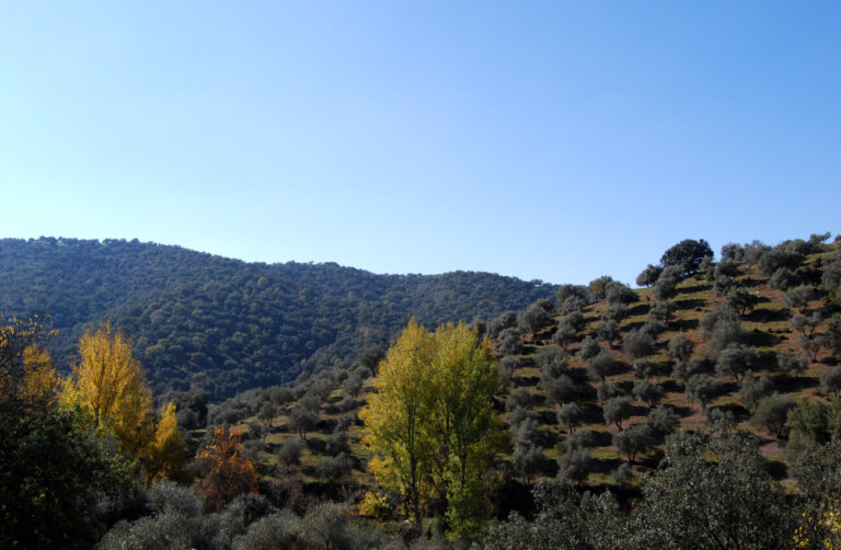 Sierra Norte de Sevilla, corazón de Sierra Morena