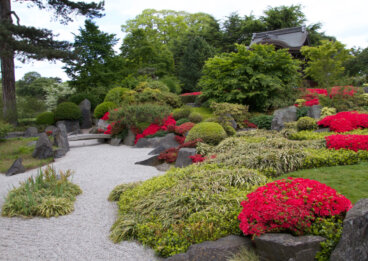 5 curiosidades del oasis botánico de Londres