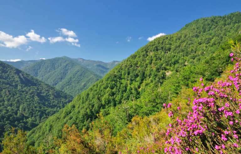 Los 6 parques naturales de España que debes visitar