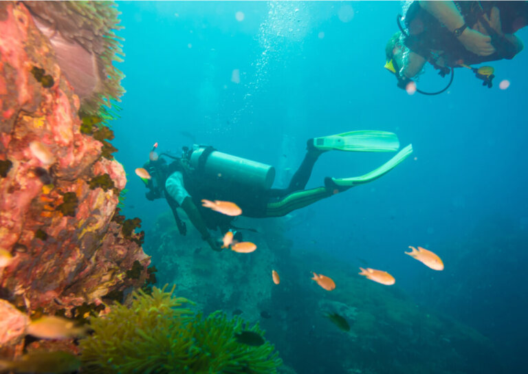 Todo lo que necesitas saber sobre Koh Tao