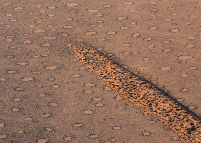 Los círculos de hadas de Namibia, un espectáculo único