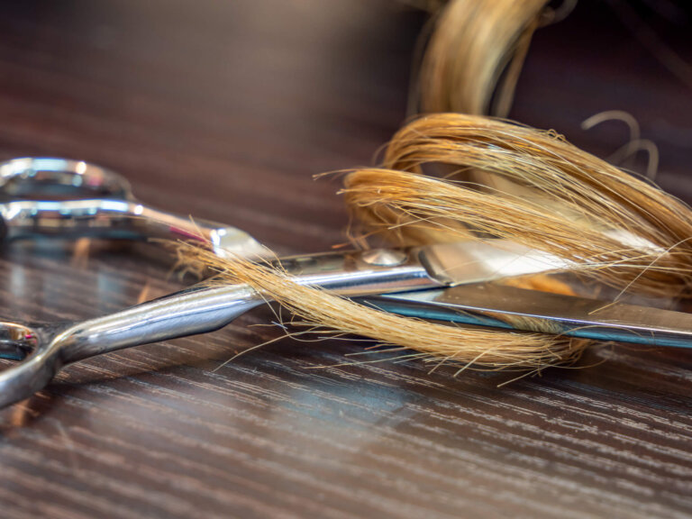 El Museo del pelo, ¿de verdad existe un sitio así?