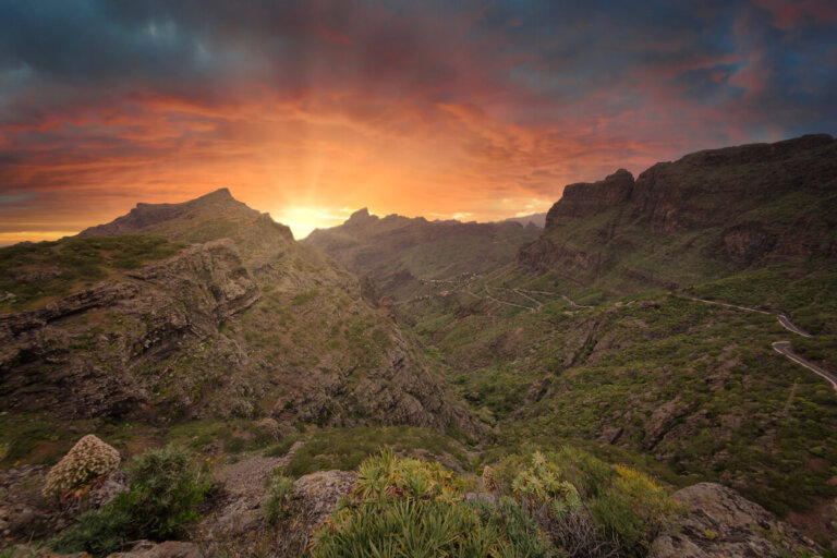 Las Vueltas de Taganana, descubriendo la selva canaria