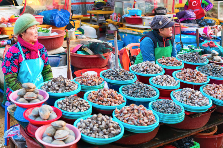 Todo lo que debes saber sobre el mercado de Jagalchi