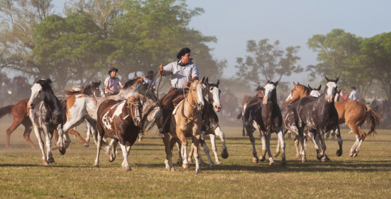 ¿Quiénes eran los gauchos?