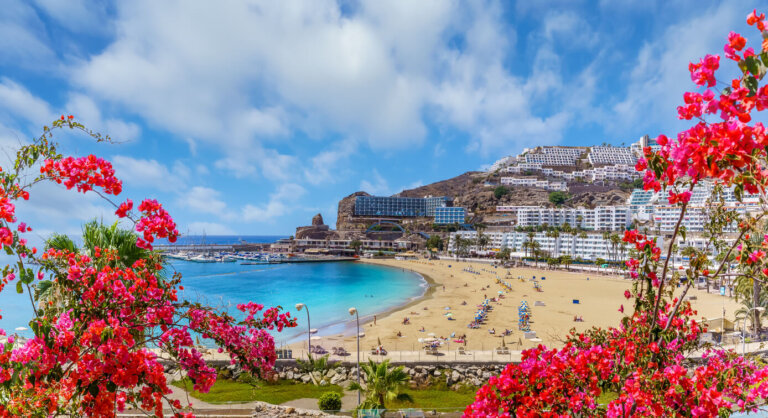 Todo lo que necesitas saber para visitar Gran Canaria en familia