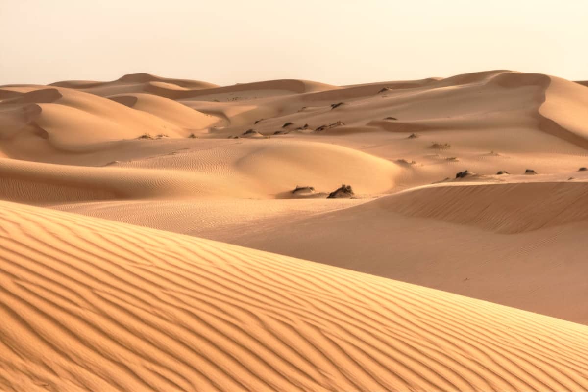 Desierto de Wahiba Sands