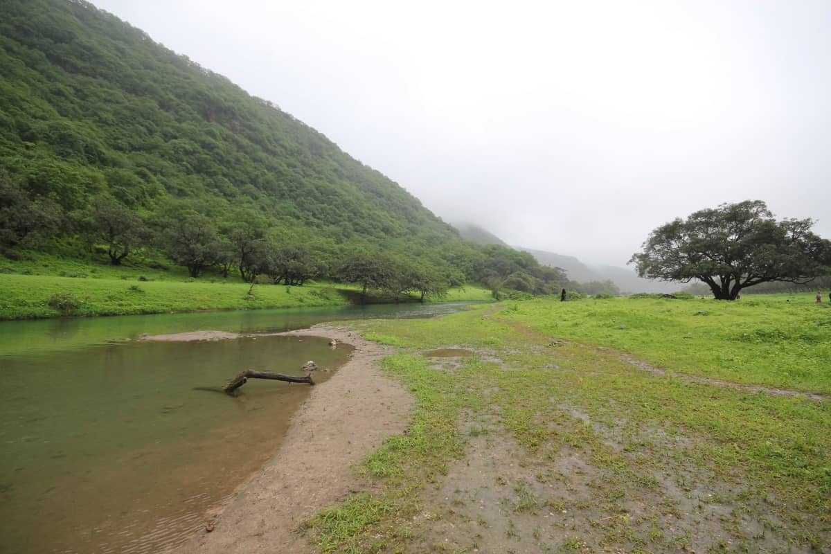 Reserva de Wadi Darbat, en Omán.