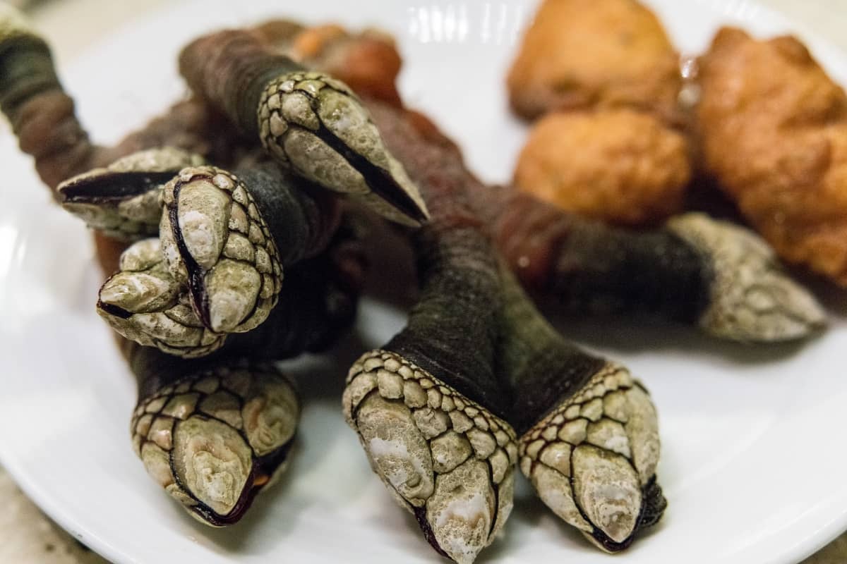 Comida de percebes, en Galicia.