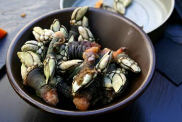 Dónde comer los mejores percebes de Galicia: 5 recomendaciones