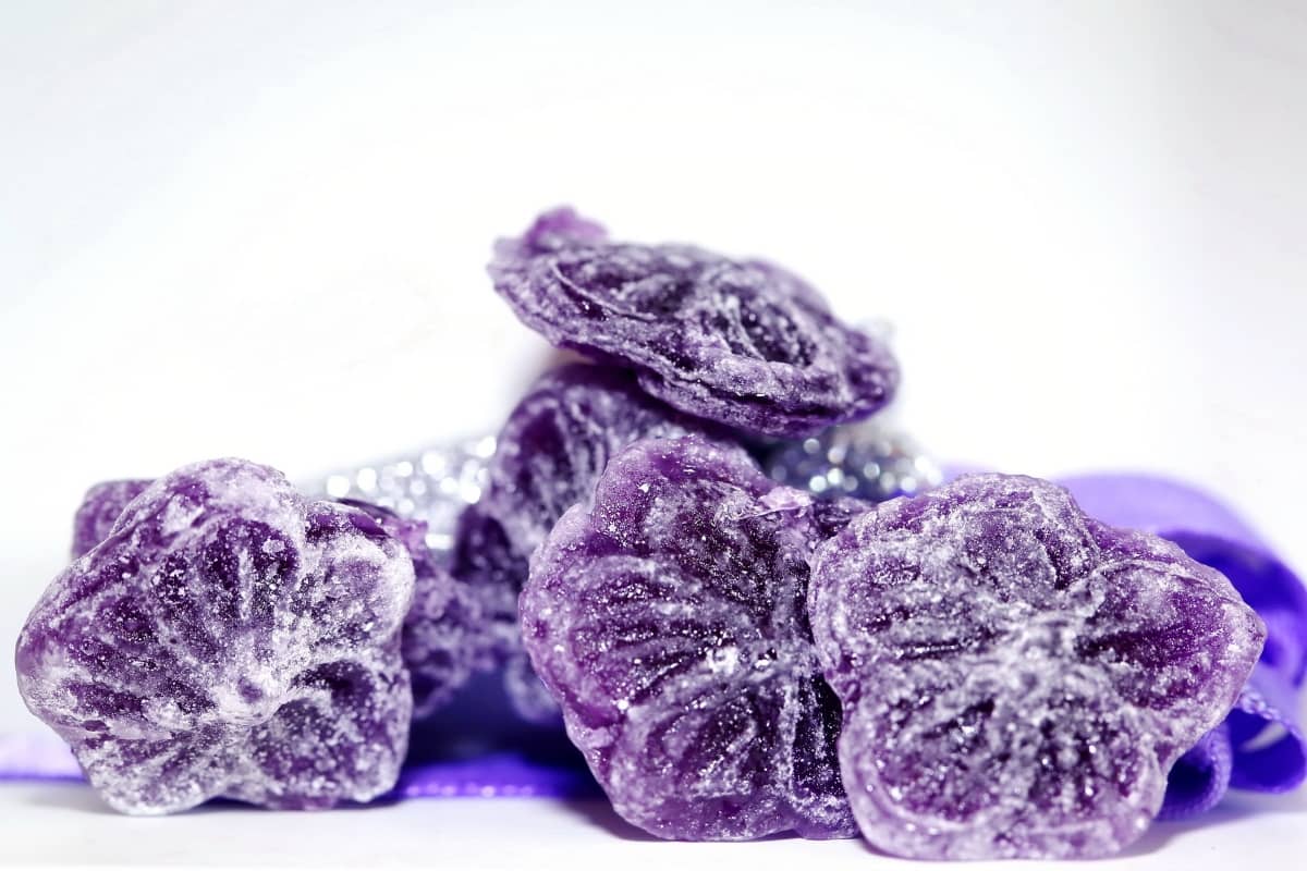 Violette de Toulouse