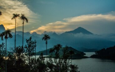 Un recorrido completo por Kerala, al sur de India